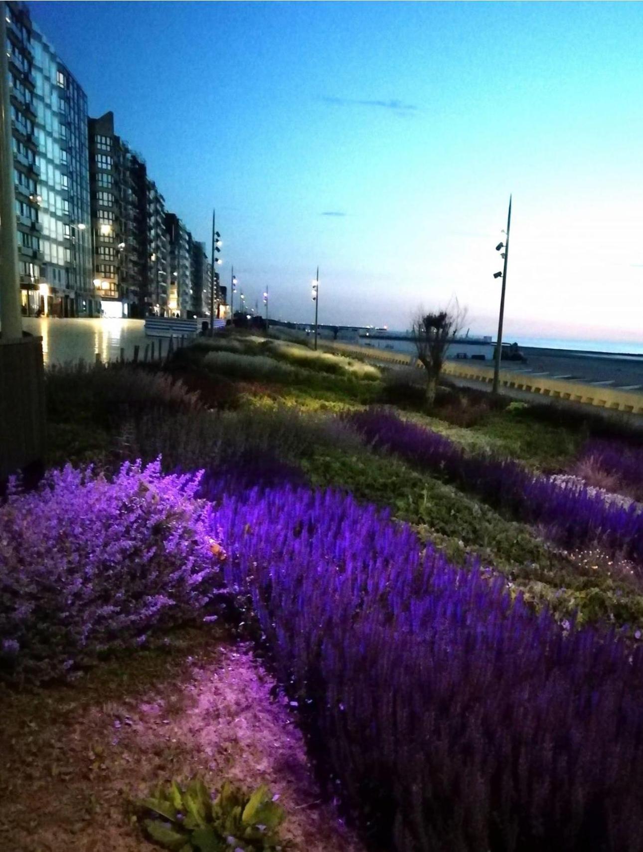 West-End Beach Middelkerke Esterno foto